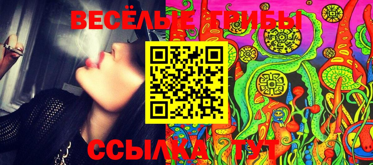 Псилоцибиновые грибы Psilocybe Шебекино